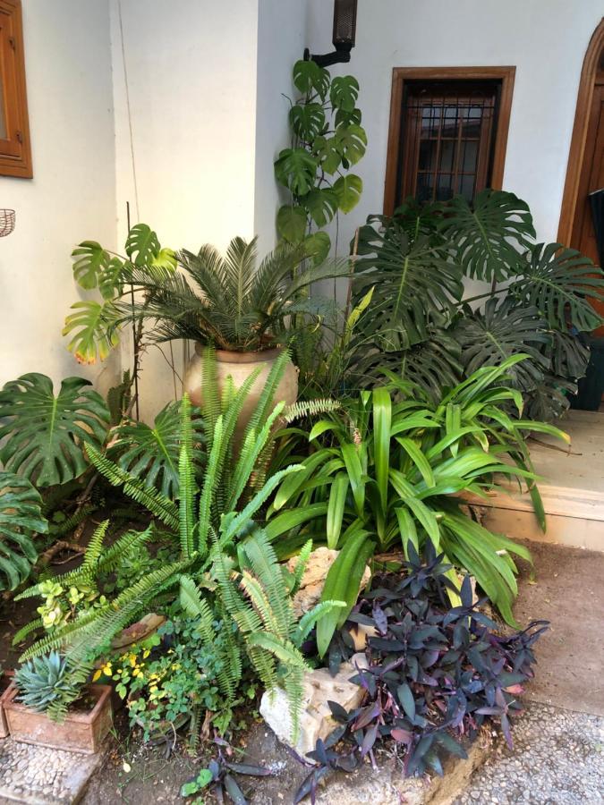 Artroom Garden Noto Exterior photo